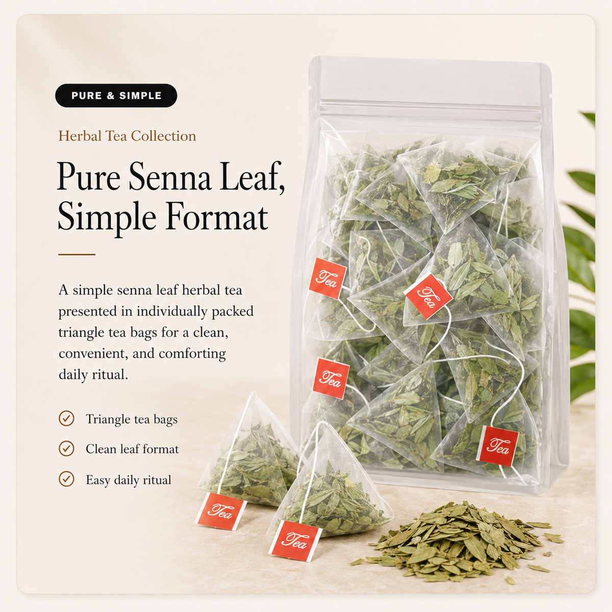 Senna Leaf Herbal Tea Bags | Caffeine-Free Botanical Tea