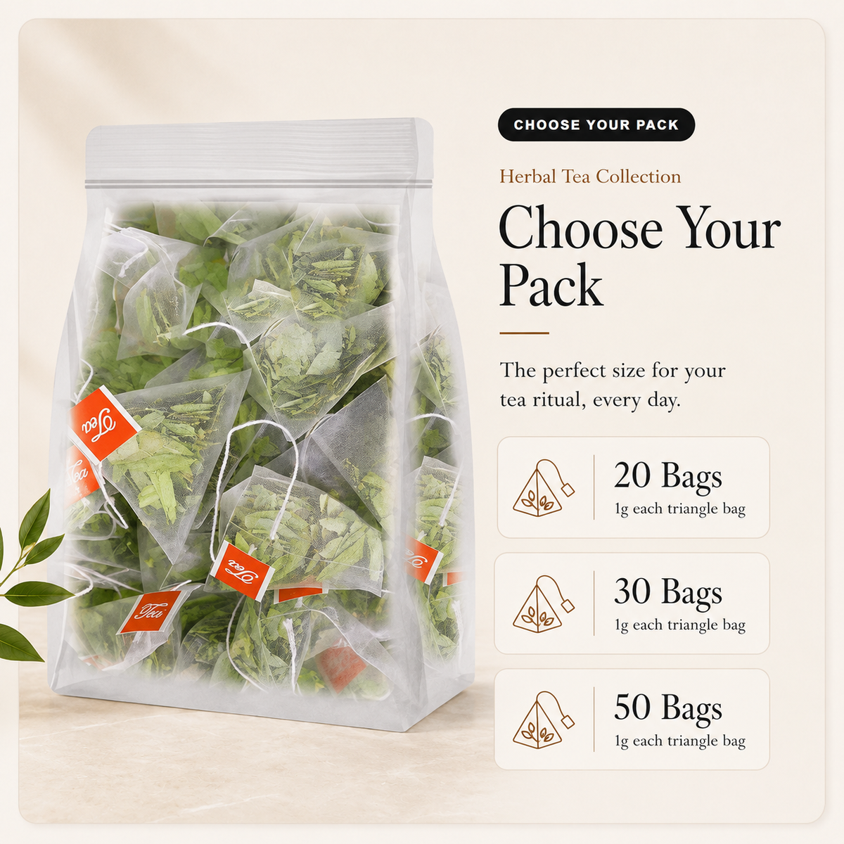 Senna Leaf Herbal Tea Bags | Caffeine-Free Botanical Tea