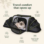 Breathable mesh cat travel carrier showing airflow and comfort details