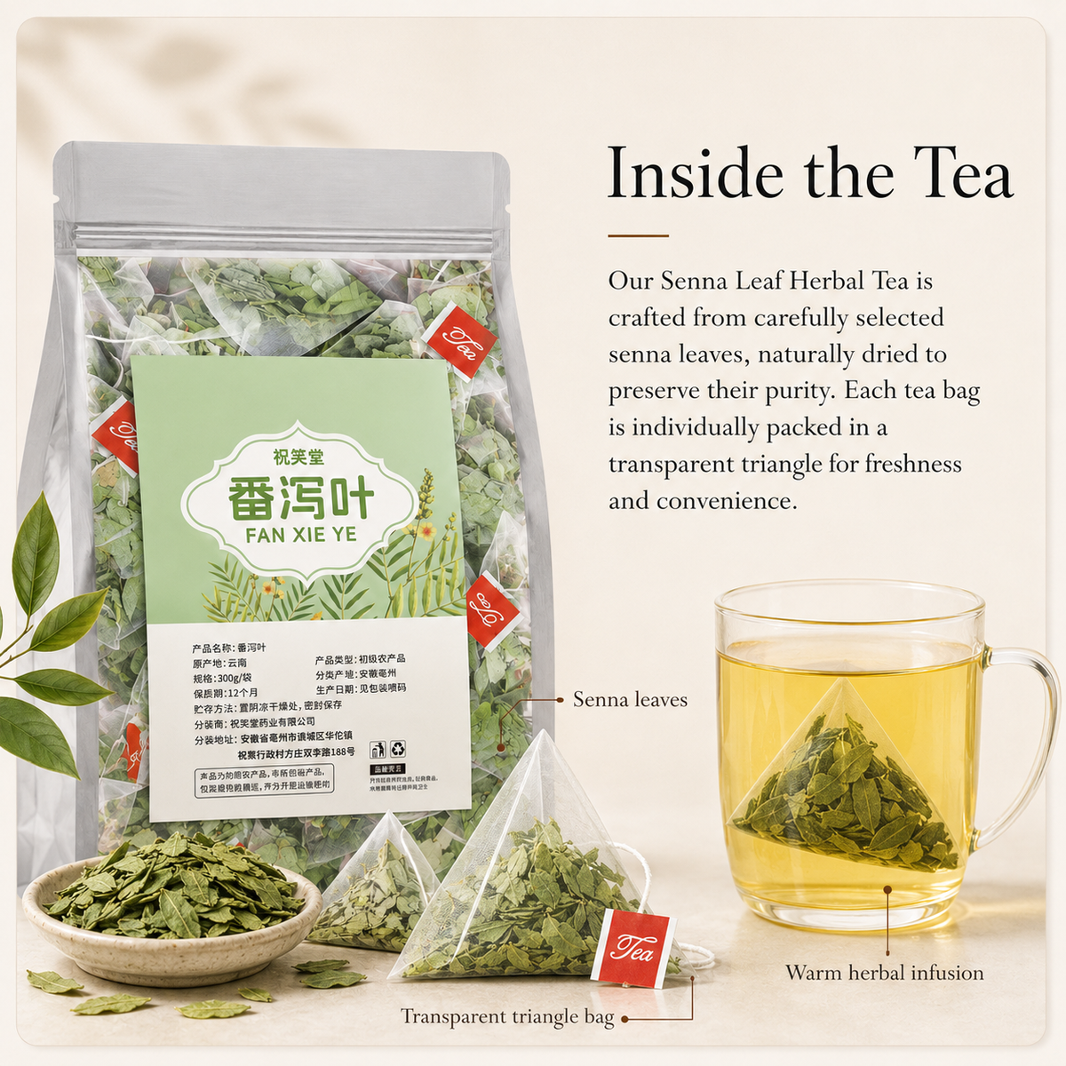 Senna Leaf Herbal Tea Bags | Caffeine-Free Botanical Tea
